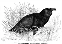 Picture 11 of 11 from Scientific American, Vol. 43, No. 19 (November 1880) (1880), leaf 8