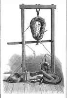 An illustration from Scientific American, Vol. 43, No. 24 (December 1880) (1880)