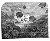 An illustration from Scientific American, Vol. 44, No. 1 (January 1881) (1881)