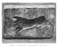 An illustration from Scientific American, Vol. 44, No. 3 (January 1881) (1881)