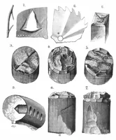 Picture 7 of 10 from Scientific American, Vol. 44, No. 3 (January 1881) (1881), leaf 7
