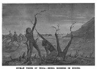 Picture 11 of 14 from Scientific American, Vol. 44, No. 5 (January 1881) (1881), leaf 8