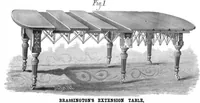 An illustration from Scientific American, Vol. 44, No. 6 (February 1881) (1881)