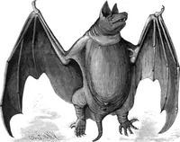 An illustration from Scientific American, Vol. 44, No. 12 (March 1881) (1881)