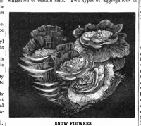 An illustration from Scientific American, Vol. 44, No. 13 (March 1881) (1881)