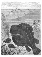 An illustration from Scientific American, Vol. 44, No. 25 (June 1881) (1881)