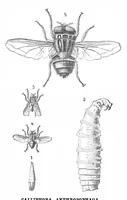 An illustration from Scientific American, Vol. 45, No. 13 (September 1881) (1881)