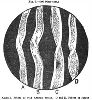 An illustration from Scientific American, Vol. 45, No. 18 (October 1881) (1881)