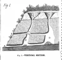 An illustration from Scientific American, Vol. 45, No. 18 (October 1881) (1881)