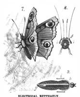 An illustration from Scientific American, Vol. 45, No. 21 (November 1881) (1881)