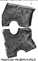 Picture 14 of 18 from Scientific American, Vol. 46, No. 5 (February 1882) (1882), leaf 8