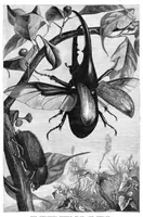 An illustration from Scientific American, Vol. 46, No. 9 (March 1882) (1882)