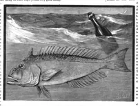 Picture 11 of 14 from Scientific American, Vol. 46, No. 17 (April 1882) (1882), leaf 8