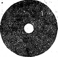 An illustration from Scientific American, Vol. 46, No. 21 (May 1882) (1882)