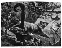 An illustration from Scientific American, Vol. 46, No. 24 (June 1882) (1882)