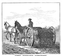 Picture 2 of 10 from Scientific American, Vol. 47, No. 3 (July 1882) (1882), leaf 3