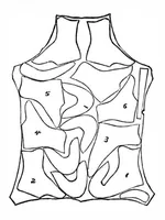Picture 6 of 10 from Scientific American, Vol. 47, No. 6 (August 1882) (1882), leaf 6