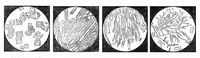 An illustration from Scientific American, Vol. 47, No. 16 (October 1882) (1882)