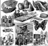 Picture 9 of 22 from Scientific American, Vol. 47, No. 17 (October 1882) (1882), leaf 8