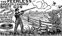 An illustration from Scientific American, Vol. 47, No. 21 (November 1882) (1882)