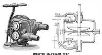 Picture 7 of 12 from Scientific American, Vol. 47, No. 22 (November 1882) (1882), leaf 8