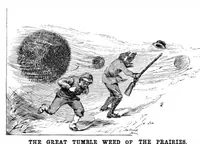 An illustration from Scientific American, Vol. 47, No. 23 (December 1882) (1882)