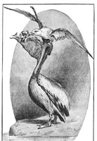 Picture 9 of 11 from Scientific American, Vol. 48, No. 22 (June 1883) (1883), leaf 8