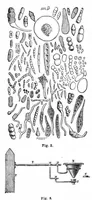 An illustration from Scientific American, Vol. 48, No. 23 (June 1883) (1883)
