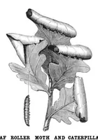 An illustration from Scientific American, Vol. 48, No. 25 (June 1883) (1883)