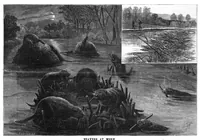 Picture 6 of 12 from Scientific American, Vol. 49, No. 1 (July 1883) (1883), leaf 7