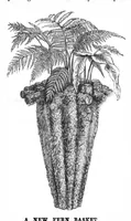 Picture 6 of 14 from Scientific American, Vol. 49, No. 2 (July 1883) (1883), leaf 5