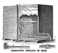 Picture 4 of 9 from Scientific American, Vol. 49, No. 8 (August 1883) (1883), leaf 4