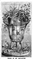 An illustration from Scientific American, Vol. 49, No. 8 (August 1883) (1883)