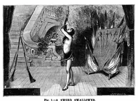 Picture 3 of 16 from Scientific American, Vol. 49, No. 11 (September 1883) (1883), leaf 3