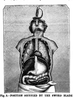 Picture 5 of 16 from Scientific American, Vol. 49, No. 11 (September 1883) (1883), leaf 3
