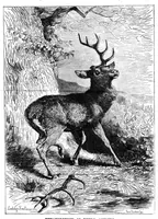 An illustration from Scientific American, Vol. 49, No. 12 (September 1883) (1883)