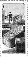 Picture 11 of 12 from Scientific American, Vol. 49, No. 13 (September 1883) (1883), leaf 10