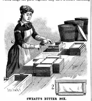 Picture 3 of 15 from Scientific American, Vol. 49, No. 19 (November 1883) (1883), leaf 3