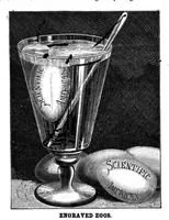 Picture 9 of 12 from Scientific American, Vol. 49, No. 24 (December 1883) (1883), leaf 7