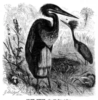 An illustration from Scientific American, Vol. 49, No. 24 (December 1883) (1883)