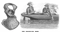 Picture 5 of 14 from Scientific American, Vol. 50, No. 5 (February 1884) (1884), leaf 4