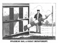 Picture 8 of 14 from Scientific American, Vol. 50, No. 5 (February 1884) (1884), leaf 7