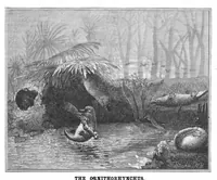 Picture 8 of 11 from Scientific American, Vol. 50, No. 11 (March 1884) (1884), leaf 8