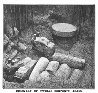 Picture 9 of 14 from Scientific American, Vol. 50, No. 21 (May 1884) (1884), leaf 8
