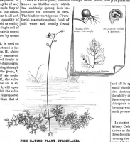 An illustration from Scientific American, Vol. 51, No. 7 (August 1884) (1884)
