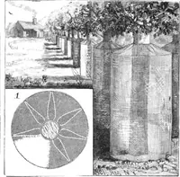 An illustration from Scientific American, Vol. 51, No. 15 (October 1884) (1884)