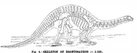 An illustration from Scientific American, Vol. 51, No. 22 (November 1884) (1884)