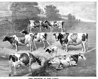 An illustration from Scientific American, Vol. 51, No. 24 (December 1884) (1884)
