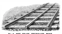 An illustration from Scientific American, Vol. 52, No. 8 (February 1885) (1885)