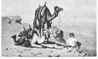 An illustration from Scientific American, Vol. 52, No. 11 (March 1885) (1885)